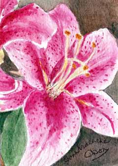 "Lily"  by Jane Kraeuche Olson, New Glarus, WI - Watercolor, SOLD